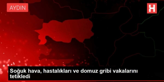 soguk-hava-hastaliklari-ve-domuz-gribi-hadiselerini-tetikledi-J8WQ4311.jpg