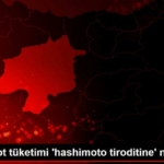fazla-iyot-tuketimi-hashimoto-tiroditine-neden-olabilir-NEmp3LQE.jpg