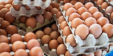 market-posetinden-cikarir-cikarmaz-yapin-yumurta-bayatlatan-hata-bunlardan-uzak-tutun-CeR3ENbZ.jpg