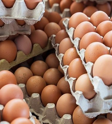 market-posetinden-cikarir-cikarmaz-yapin-yumurta-bayatlatan-hata-bunlardan-uzak-tutun-CeR3ENbZ.jpg