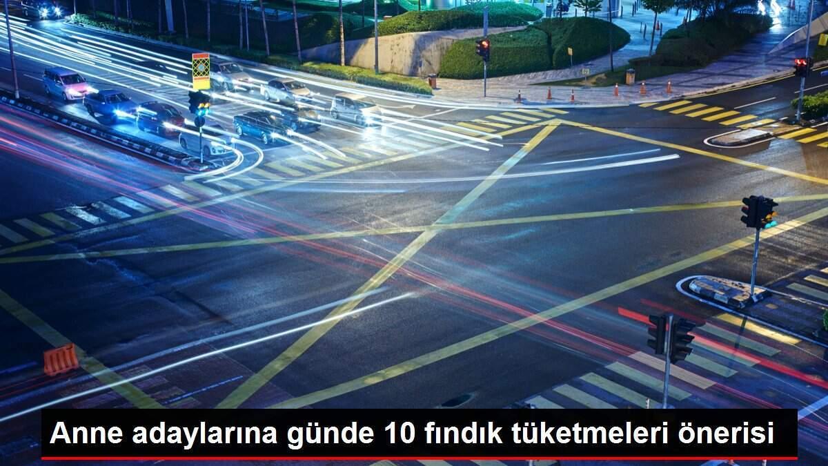 anne-adaylarina-gunde-10-findik-tuketmeleri-onerisi-4IlmJTHw.jpg