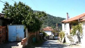 balik-pulu-hastalarinin-yerli-ilac-memnunlugu-NaPAm7L1.jpg