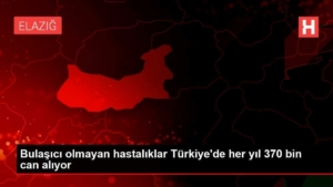 bulasici-olmayan-hastaliklar-turkiyede-her-yil-370-bin-can-aliyor-4Wcpr9I4.jpg
