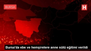bursada-ebe-ve-hemsirelere-anne-sutu-egitimi-verildi-lLVU1N8L.jpg