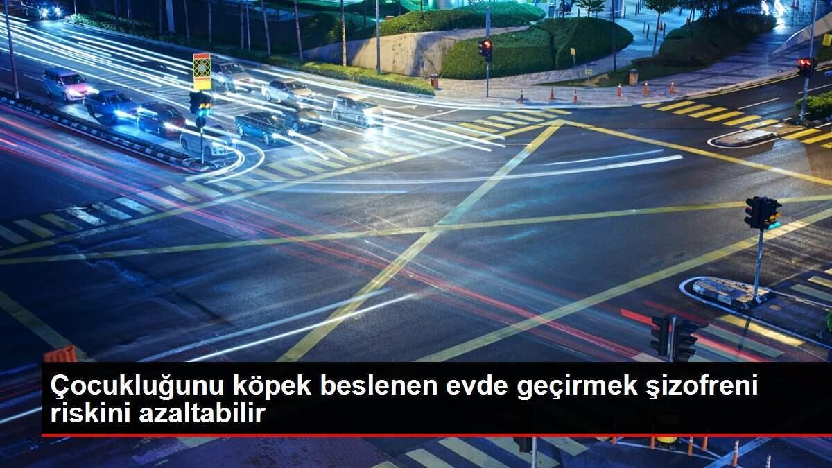 cocuklugunu-kopek-beslenen-meskende-gecirmek-sizofreni-riskini-azaltabilir-X16nECAD.jpg