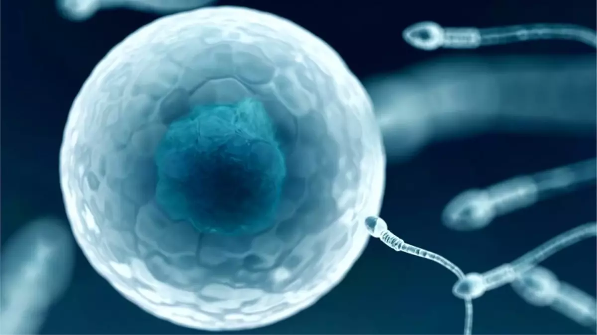 dunyanin-birinci-hiv-pozitif-sperm-bankasi-yeni-zelandada-acildi-EphJ7kIz.jpg