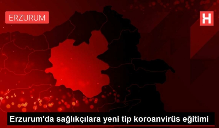 erzurumda-saglikcilara-yeni-tip-koroanvirus-egitimi-vuwUcwPq.jpg