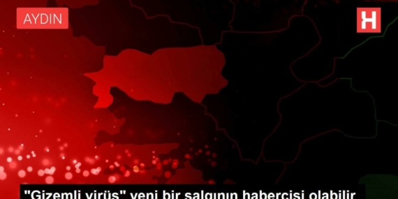 gizemli-virusyeni-bir-salginin-habercisi-olabilir-utXBewAd.jpg