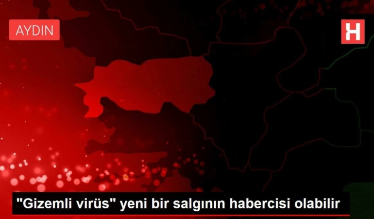 gizemli-virusyeni-bir-salginin-habercisi-olabilir-utXBewAd.jpg