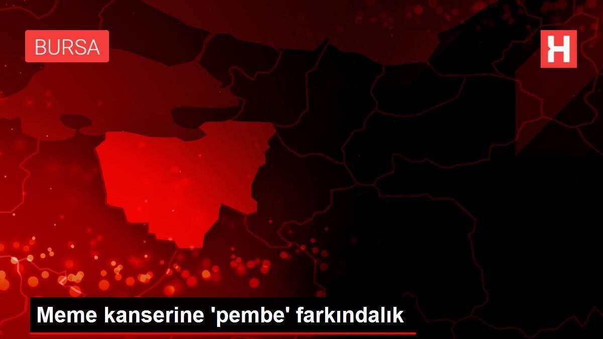 gogus-kanserine-pembe-farkindalik-dM8fL31A.jpg
