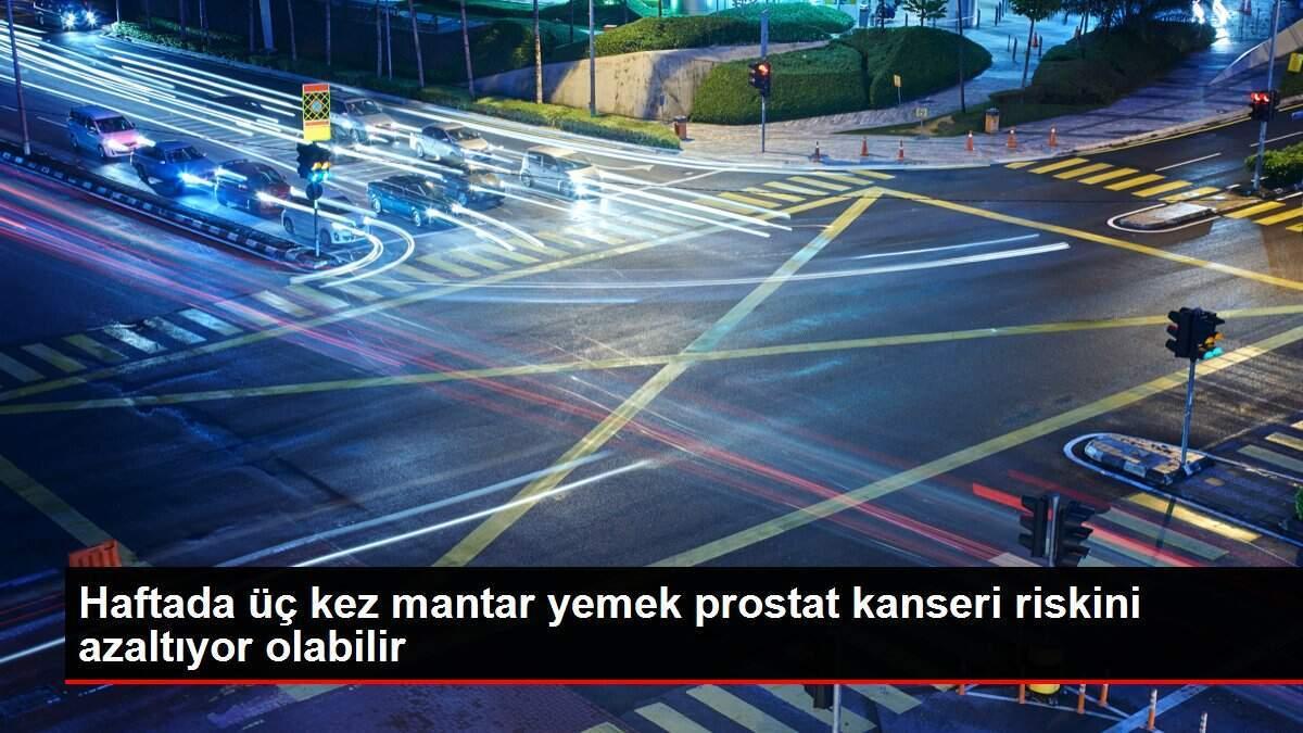 haftada-uc-defa-mantar-yemek-prostat-kanseri-riskini-azaltiyor-olabilir-ykwc2ODb.jpg