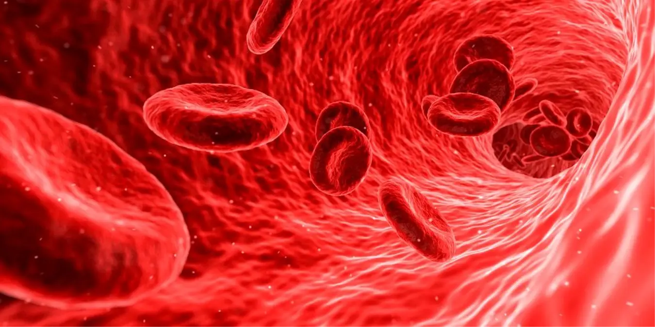 hgb-nedir-hgb-ne-demek-hemoglobin-nedir-hgb-kiymeti-nedir-S34Titld.jpg
