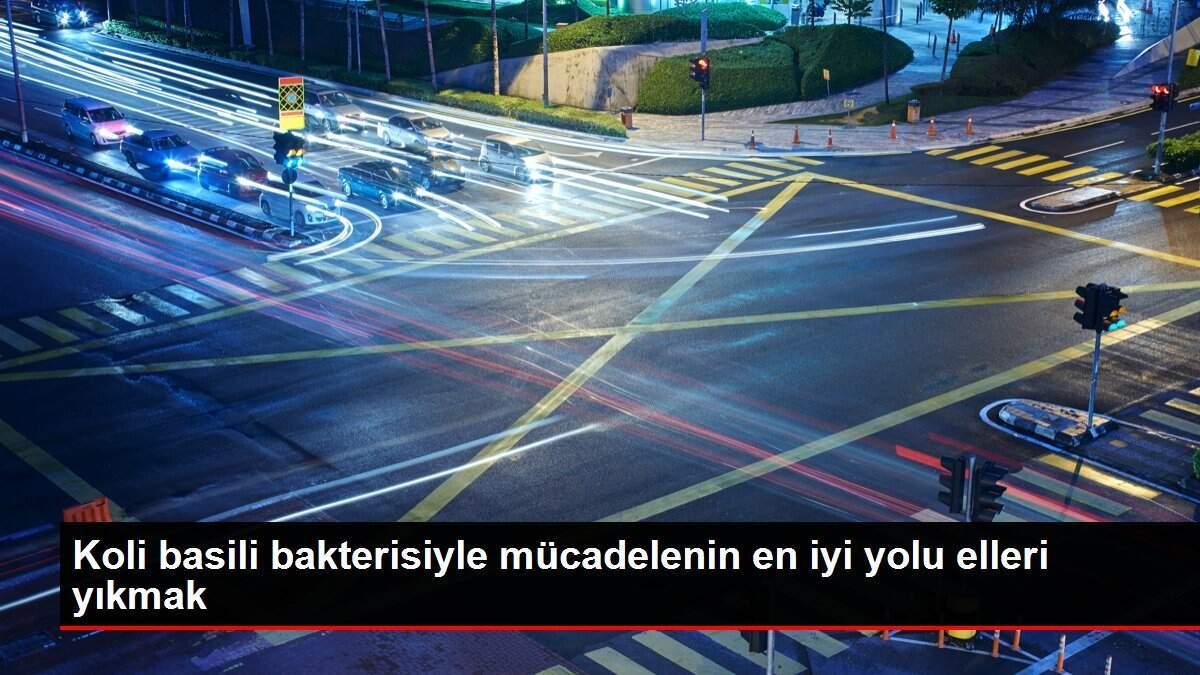 koli-basili-bakterisiyle-ugrasin-en-duzgun-yolu-elleri-yikmak-gBEyy3JF.jpg