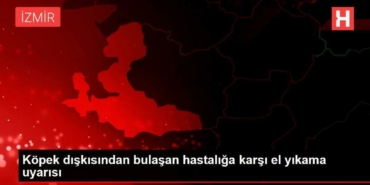 kopek-diskisindan-bulasan-hastaliga-karsi-el-yikama-uyarisi-KdsFRrKP.jpg