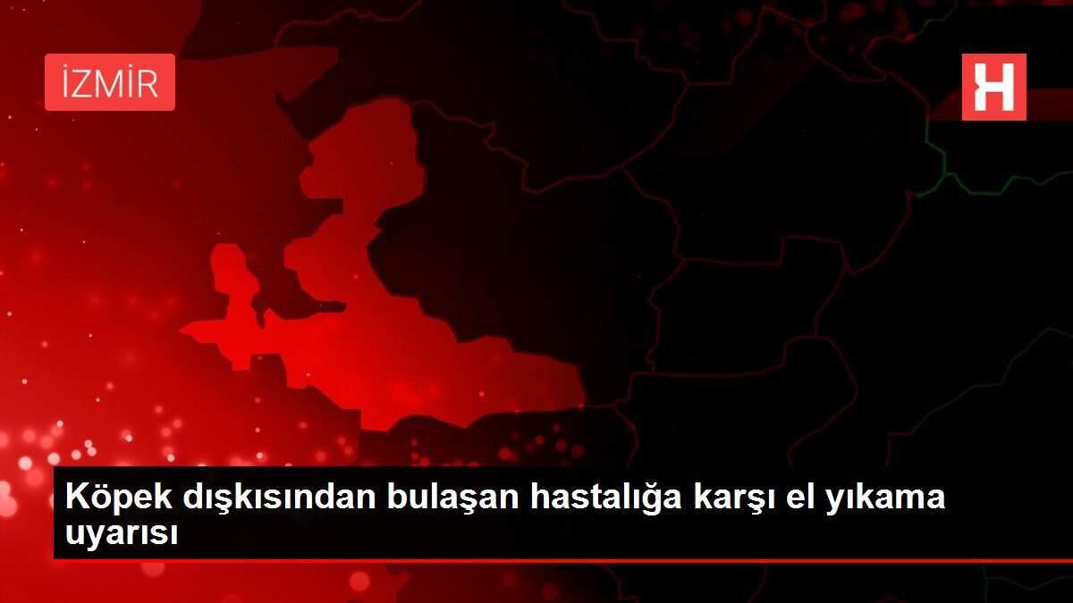 kopek-diskisindan-bulasan-hastaliga-karsi-el-yikama-uyarisi-KdsFRrKP.jpg
