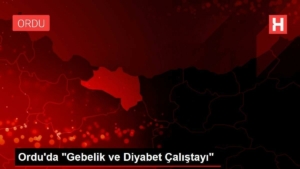 orduda-gebelik-ve-diyabet-calistayi-5fvC5vMJ.jpg