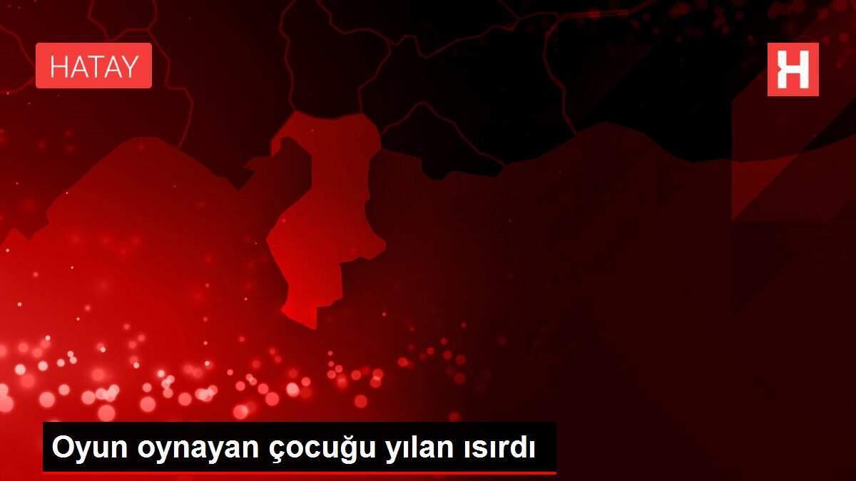 oyun-oynayan-cocugu-yilan-isirdi-x2BgR8BL.jpg