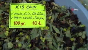 prof-dr-fatih-satildan-kis-caylari-yorumu-bitki-ottur-ziyani-yoktur-diye-dusunulmemeli-cRz76jOk.jpg