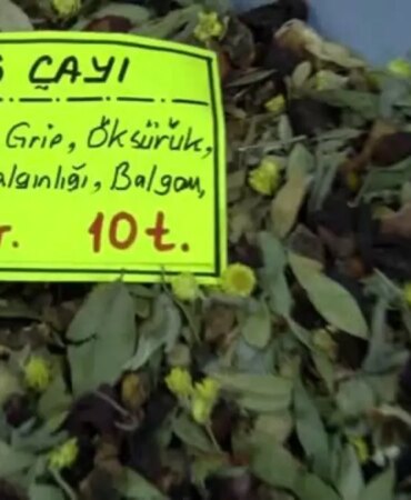 prof-dr-fatih-satildan-kis-caylari-yorumu-bitki-ottur-ziyani-yoktur-diye-dusunulmemeli-cRz76jOk.jpg