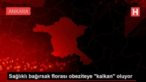 saglikli-bagirsak-florasi-obeziteye-kalkan-oluyor-ldbLFFxg.jpg