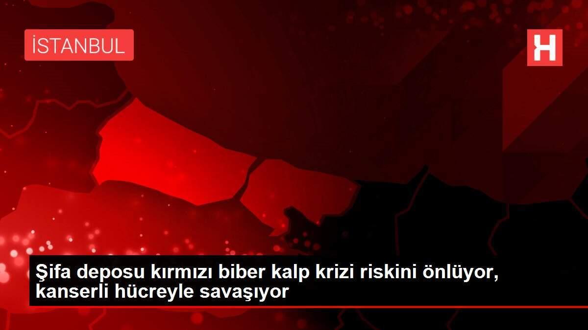 sifa-deposu-kirmizi-biber-kalp-krizi-riskini-onluyor-kanserli-hucreyle-savasiyor-u7W9JC9y.jpg