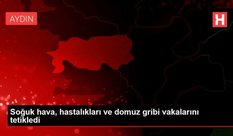 soguk-hava-hastaliklari-ve-domuz-gribi-hadiselerini-tetikledi-J8WQ4311.jpg