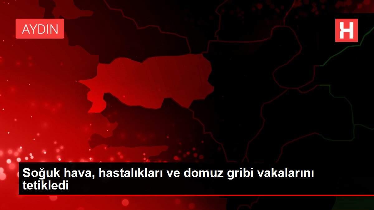 soguk-hava-hastaliklari-ve-domuz-gribi-hadiselerini-tetikledi-J8WQ4311.jpg