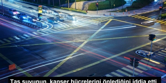 tas-suyununkanser-hucrelerini-onledigini-arguman-etti-DUJh5kaM.jpg