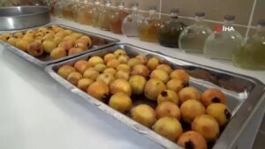 turkiyede-uretilmeye-baslayan-guavanin-sirkesi-yapildi-t7OkARIO.jpg