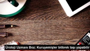 uroloji-uzmani-boz-kuruyemisler-bobrek-tasi-yapabilir-xXsHMLJy.jpg
