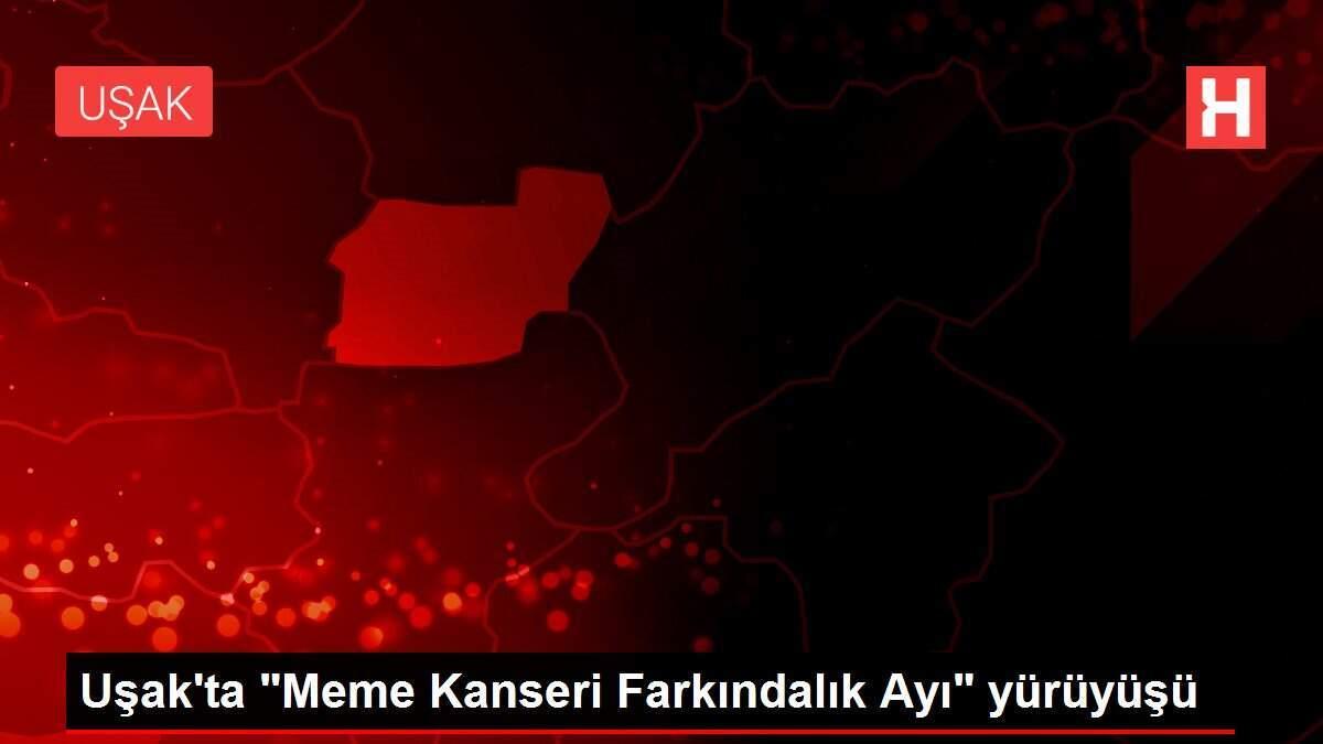 usakta-meme-kanseri-farkindalik-ayi-yuruyusu-FfJVZdIi.jpg
