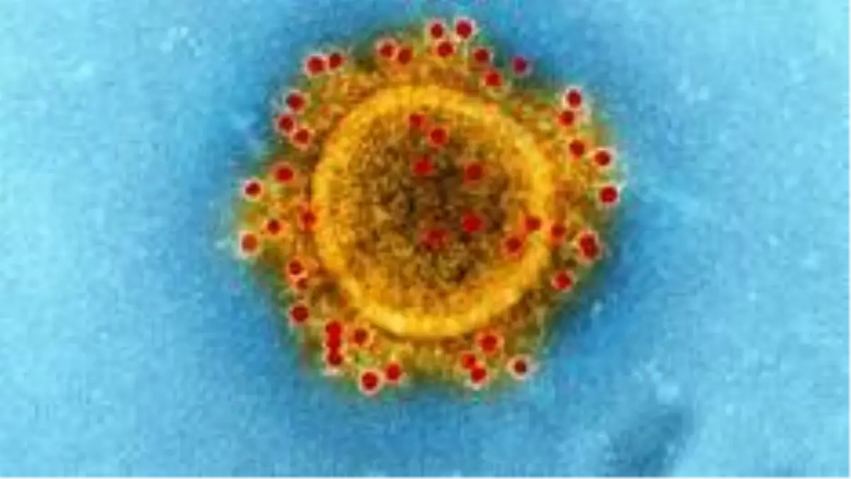 yeni-koronavirus-salginina-neden-hala-bir-isim-bulunamadi-Gcajj9ev.jpg