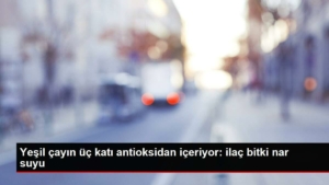 yesil-cayin-uc-kati-antioksidan-iceriyor-ilac-bitki-nar-suyu-8DuECl73.jpg
