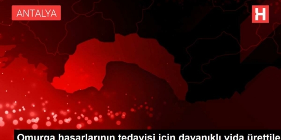 omurga-hasarlarinin-tedavisi-icin-saglam-vida-urettiler-vALa23IY.jpg