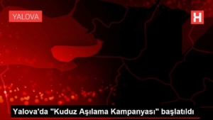 yalovada-kuduz-asilama-kampanyasi-baslatildi-MRLMJUiX.jpg