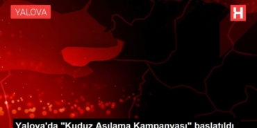 yalovada-kuduz-asilama-kampanyasi-baslatildi-MRLMJUiX.jpg
