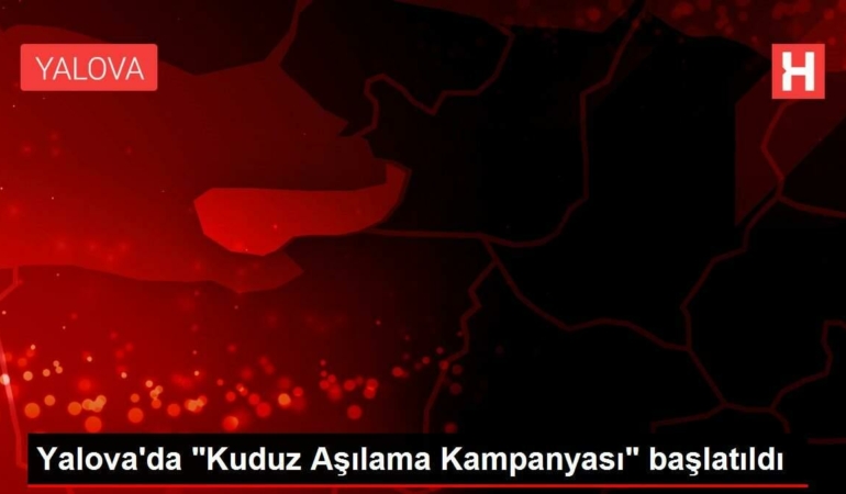 yalovada-kuduz-asilama-kampanyasi-baslatildi-MRLMJUiX.jpg